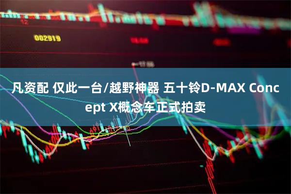 凡资配 仅此一台/越野神器 五十铃D-MAX Concept X概念车正式拍卖