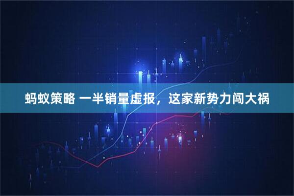 蚂蚁策略 一半销量虚报，这家新势力闯大祸