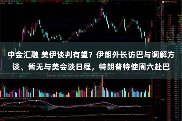 中金汇融 美伊谈判有望？伊朗外长访巴与调解方谈、暂无与美会谈日程，特朗普特使周六赴巴