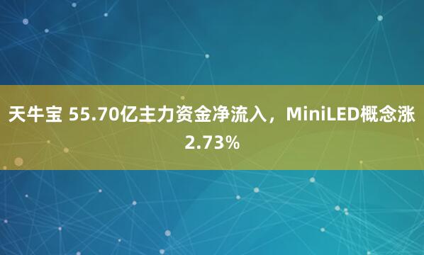 天牛宝 55.70亿主力资金净流入，MiniLED概念涨2.73%