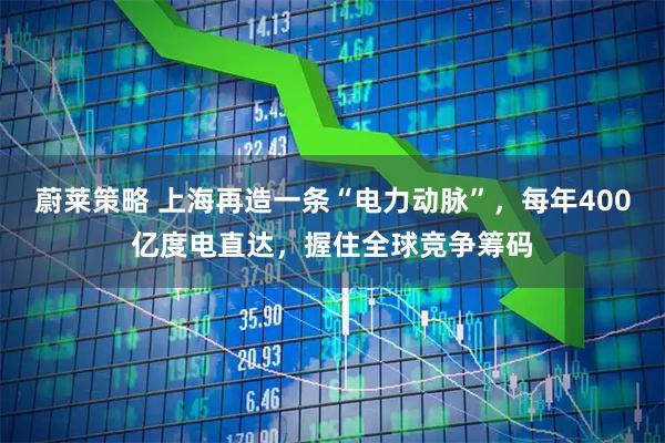 蔚莱策略 上海再造一条“电力动脉”，每年400亿度电直达，握住全球竞争筹码