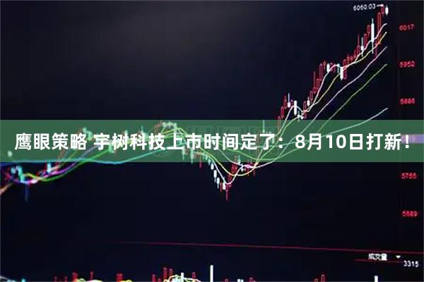 鹰眼策略 宇树科技上市时间定了：8月10日打新！