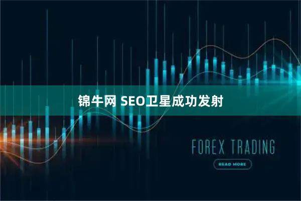 锦牛网 SEO卫星成功发射